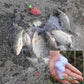 Fishing Net Cage Copper Spring Shoal Net Fishing Trap